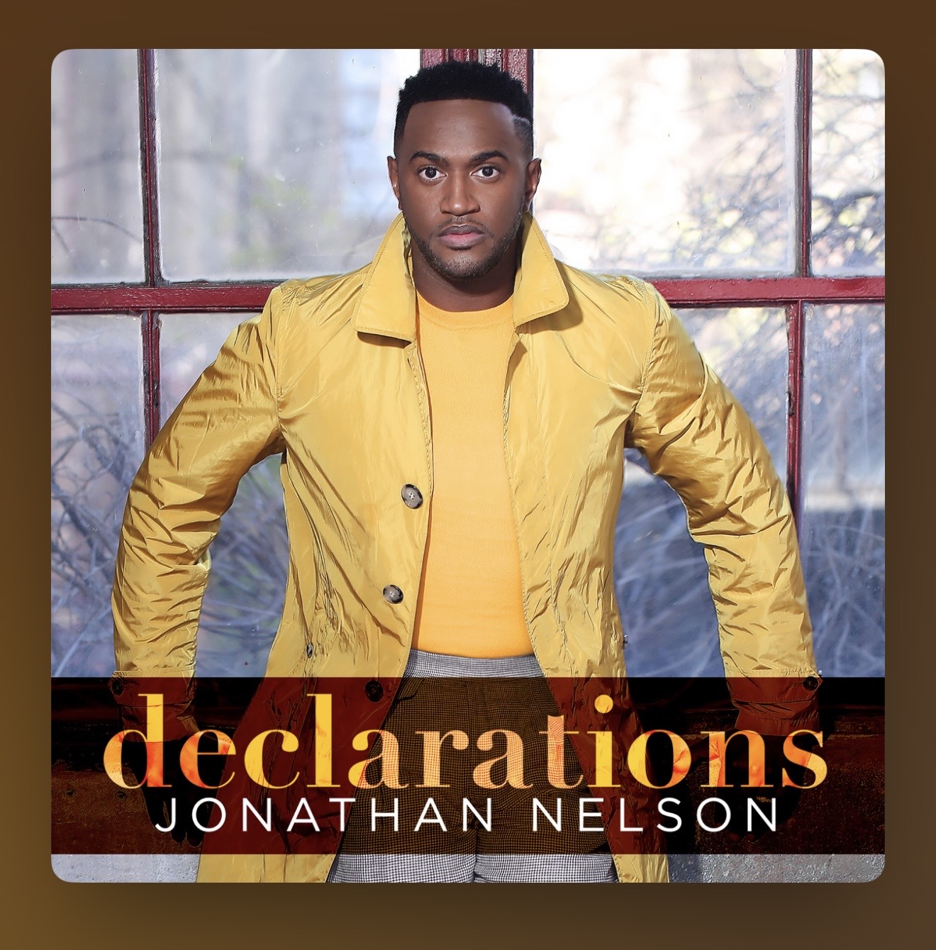 Jonathan Nelson — Declarations
